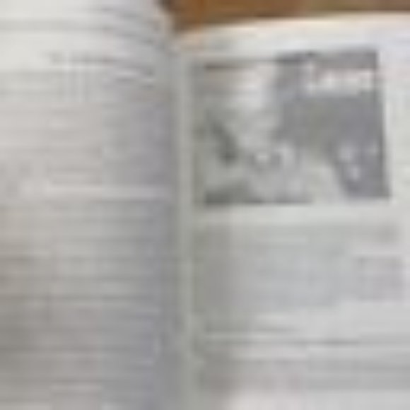 A Short History of the 20th Century Geoffrey Blainey 2006 - Picture 8 of 8